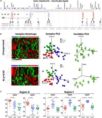 F8 Inversions at Xq28 Causing Hemophilia A Are Associated With Specific Methylation Changes: Implication for Molecular Epigenetic Diagnosis